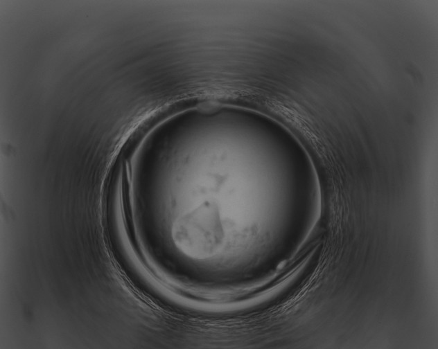 X0000090890584200708031054