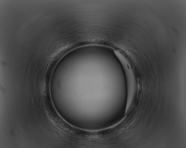 X0000090890587200708031054