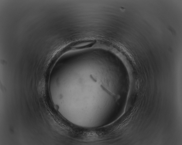 X0000090890588200708031054