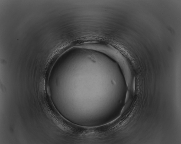 X0000090890589200708031054