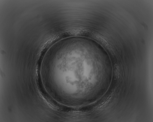 X0000090890590200708031054