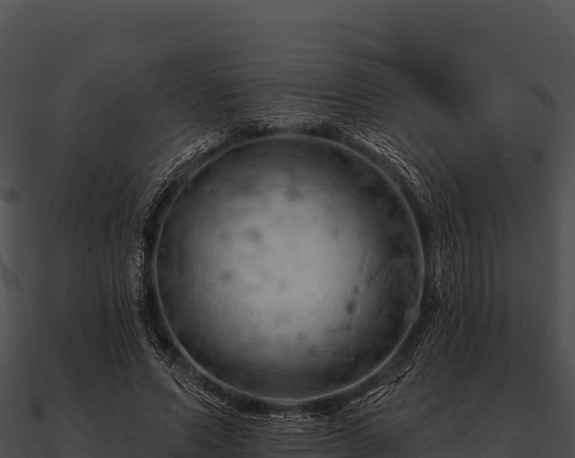 X0000090890591200708031054