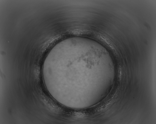 X0000090890592200708031054