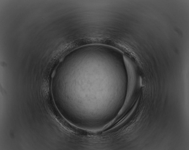 X0000090890593200708031054