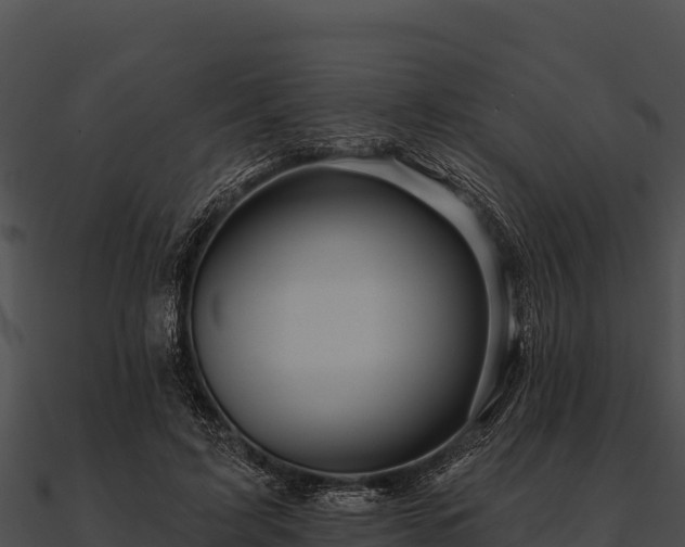 X0000090890595200708031054