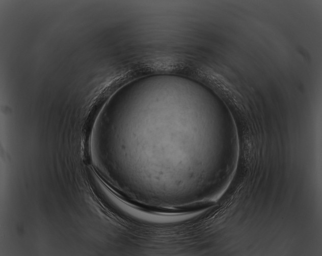 X0000090890596200708031054