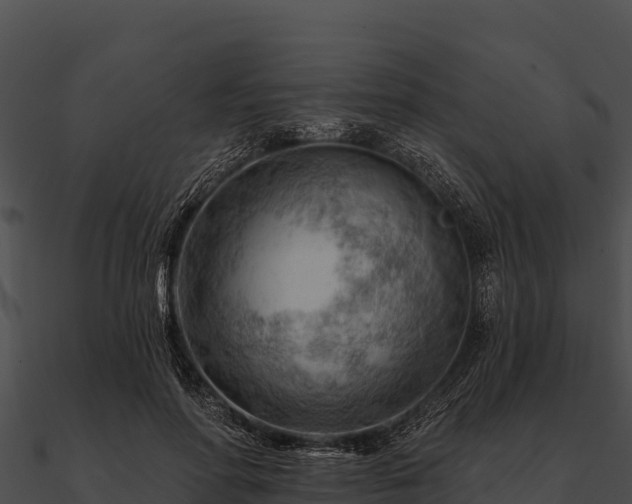 X0000090890598200708031054