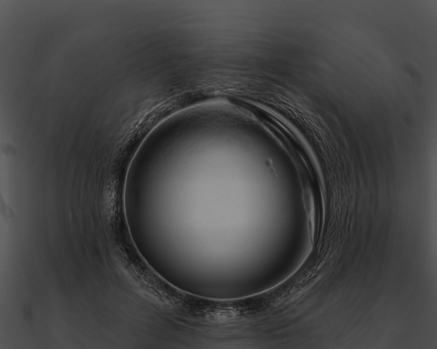 X0000090890600200708031054