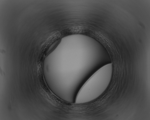 X0000090890601200708031054