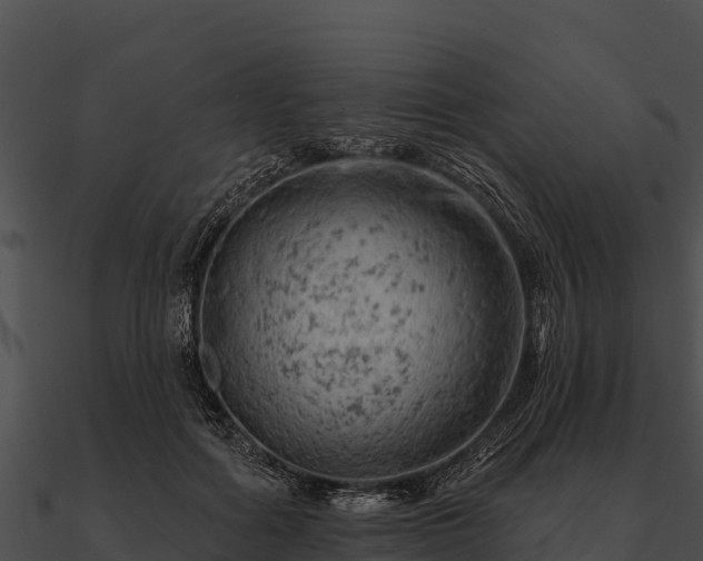 X0000090890602200708031054