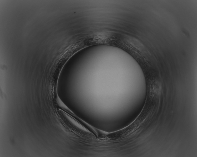 X0000090890603200708031054