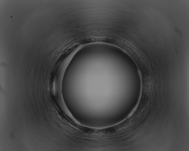 X0000090890604200708031054