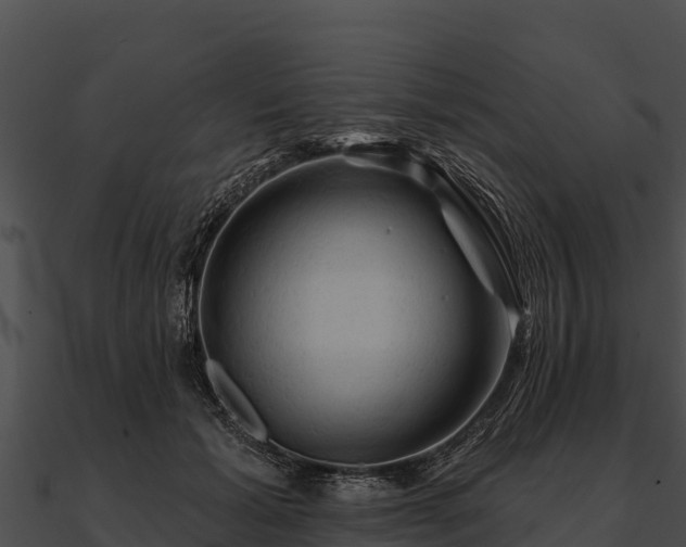 X0000090890605200708031054