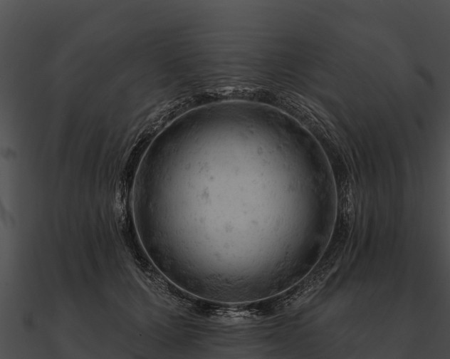 X0000090890607200708031054