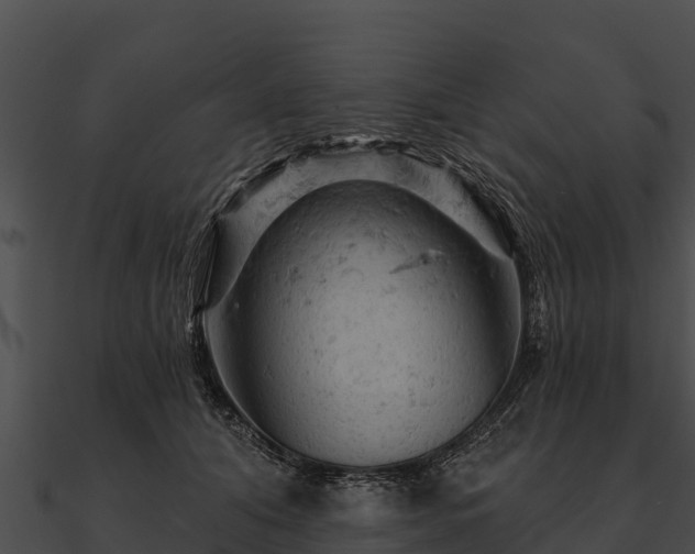 X0000090890608200708031054