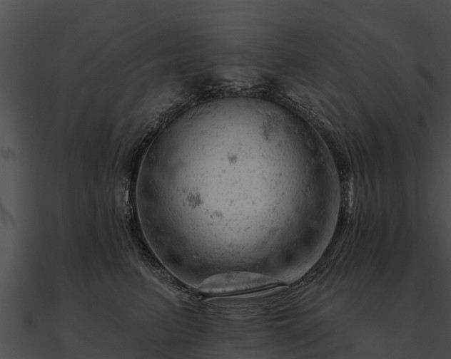 X0000090890615200708031053