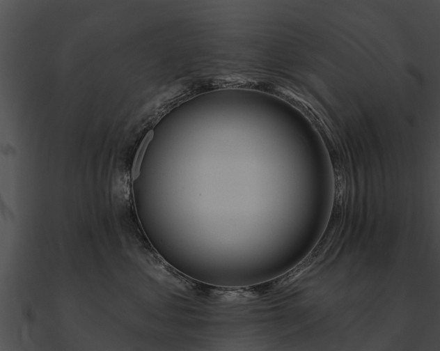 X0000090890621200708031053