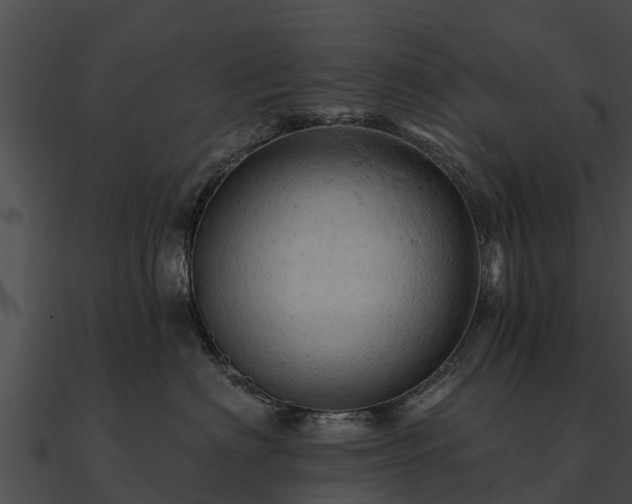 X0000090890622200708031053