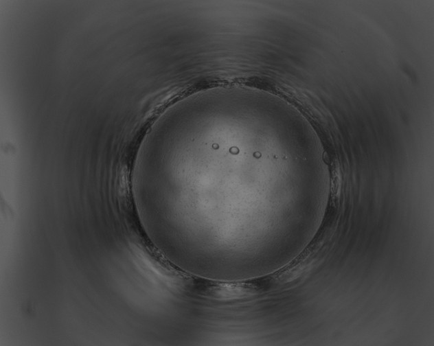 X0000090890623200708031053