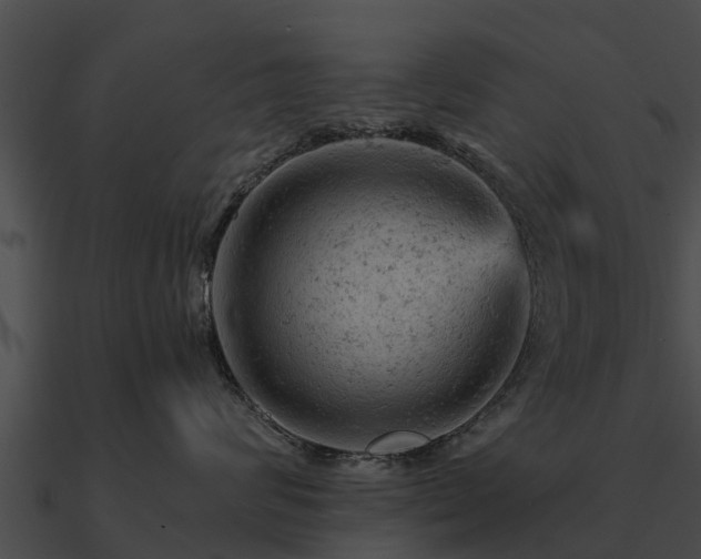 X0000090890624200708031053