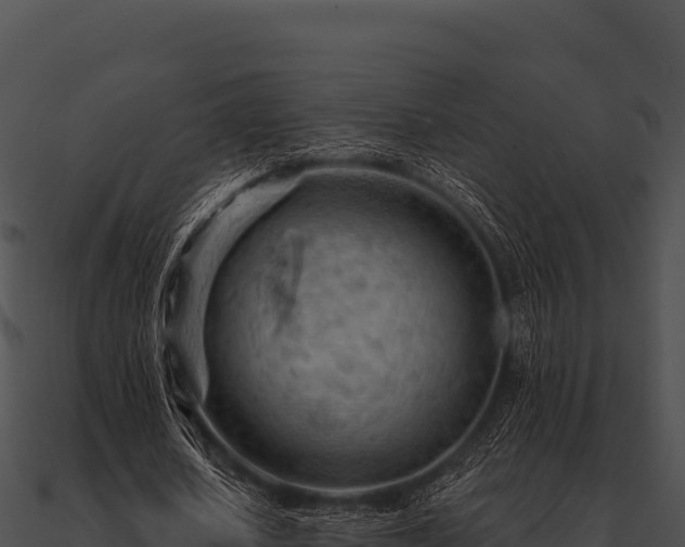 X0000090890626200708031053