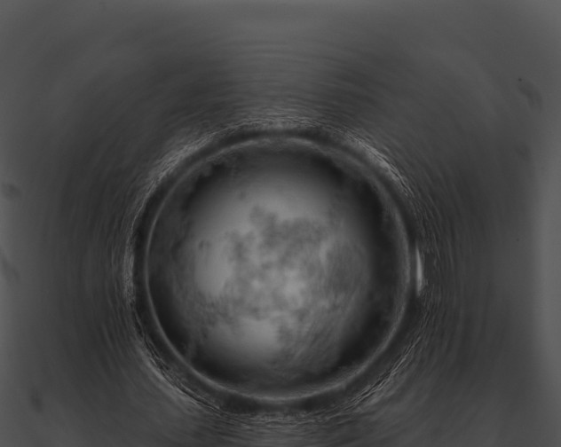 X0000090890627200708031053