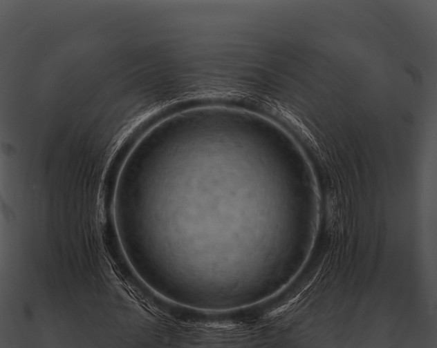 X0000090890628200708031053