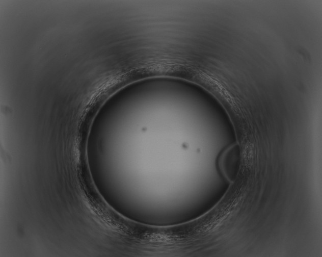 X0000090890635200708031053