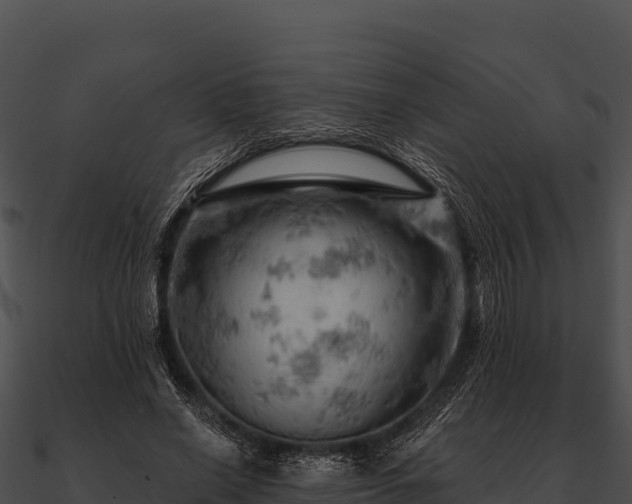 X0000090890638200708031053