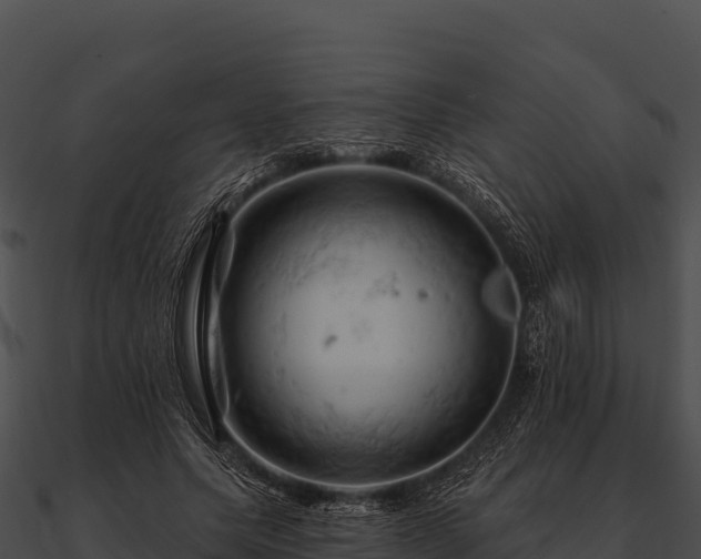 X0000090890639200708031053