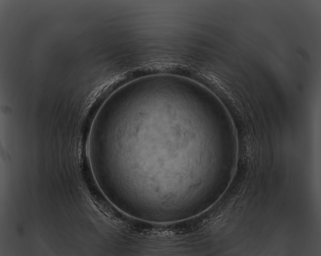 X0000090890640200708031053