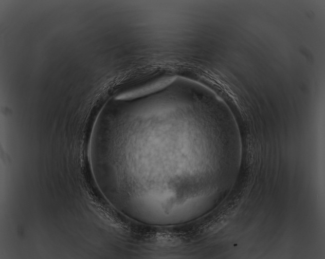 X0000090890641200708031053