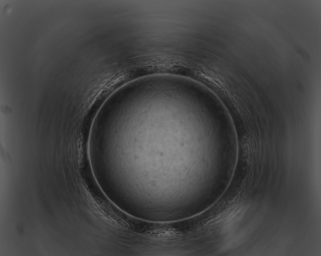 X0000090890642200708031053