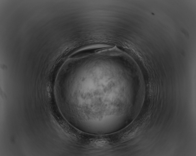 X0000090890643200708031053