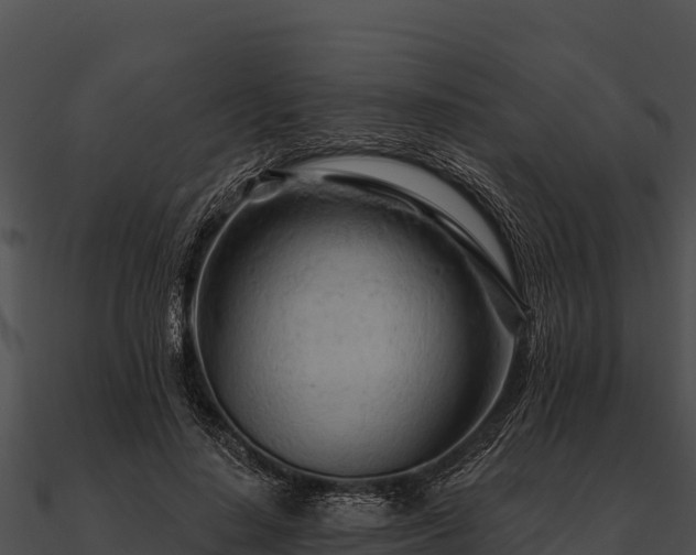 X0000090890644200708031053