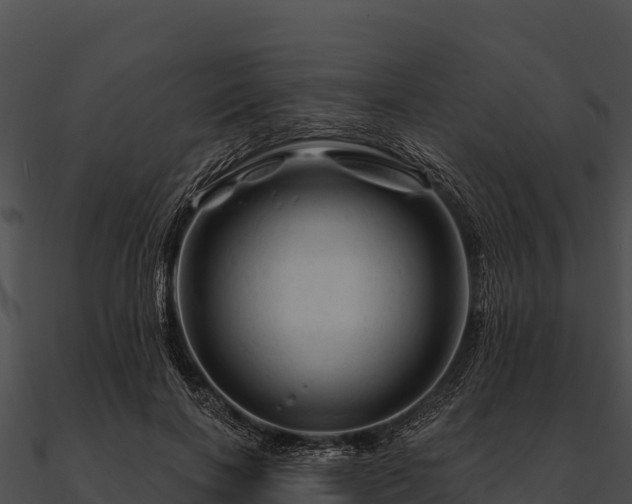 X0000090890646200708031053