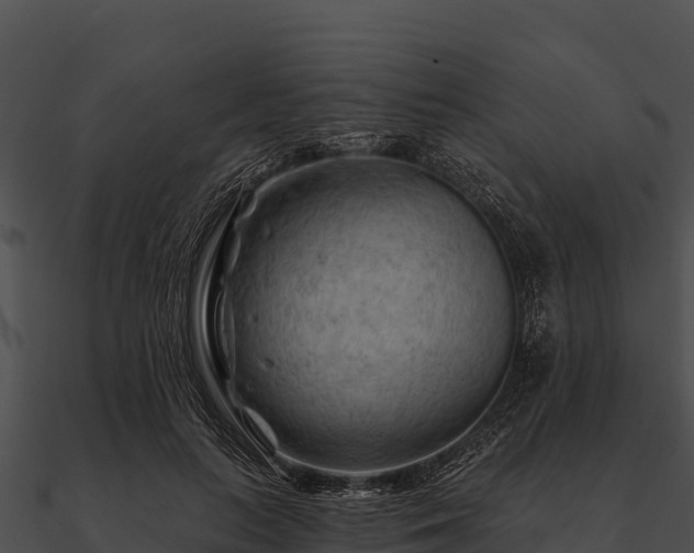 X0000090890647200708031053