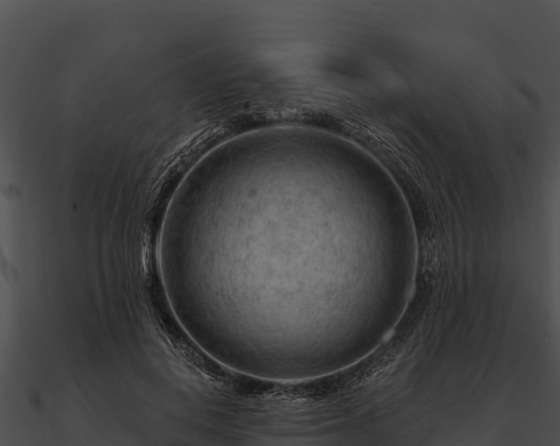 X0000090890648200708031053