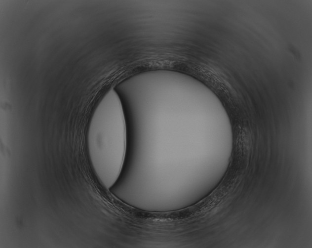 X0000090890649200708031053