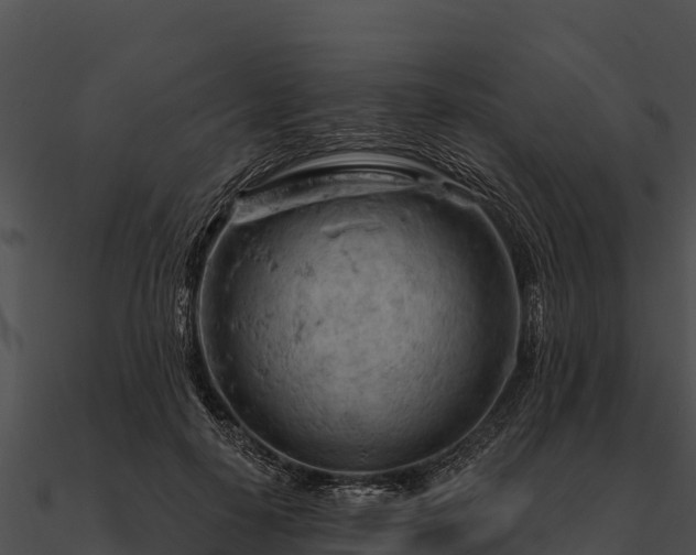 X0000090890650200708031053