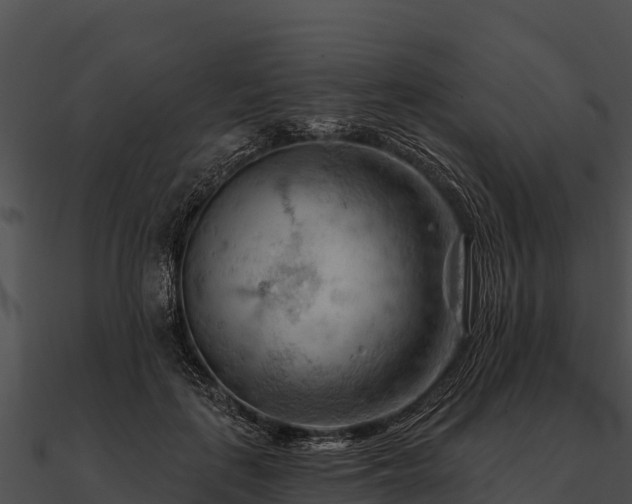 X0000090890651200708031053