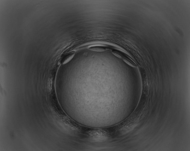 X0000090890652200708031053