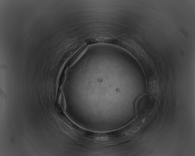 X0000090890653200708031053