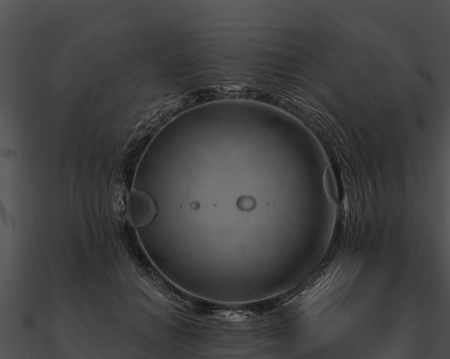 X0000090890654200708031053