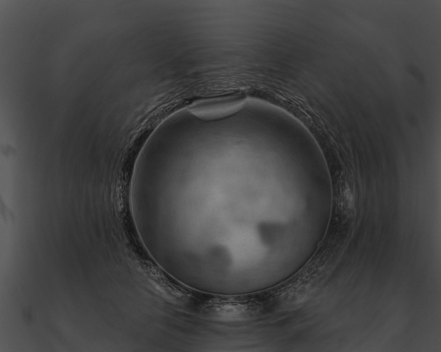 X0000090890658200708031053