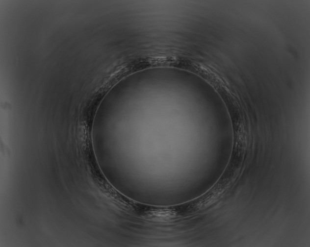 X0000090890659200708031053