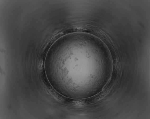 X0000090890660200708031053