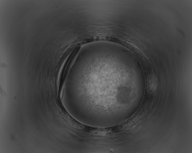 X0000090890661200708031053