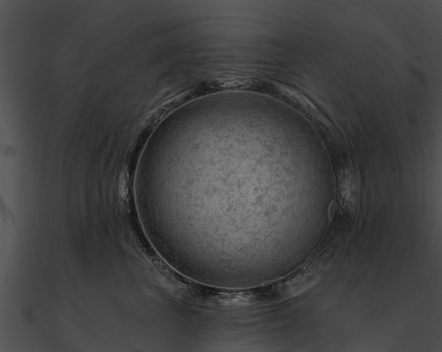 X0000090890667200708031053