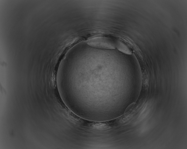 X0000090890669200708031053